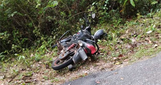 Bike skid